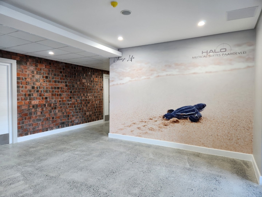 To Let commercial Property for Rent in Paardevlei Western Cape